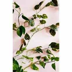 New 🔔 Command™ Clear Hooks Command™ Mini Hooks Value Pack, Clear, 18 Hooks (17006CLR-VP) 🛒 -Tape Fasteners & Adhesives Sales unnamed file 410